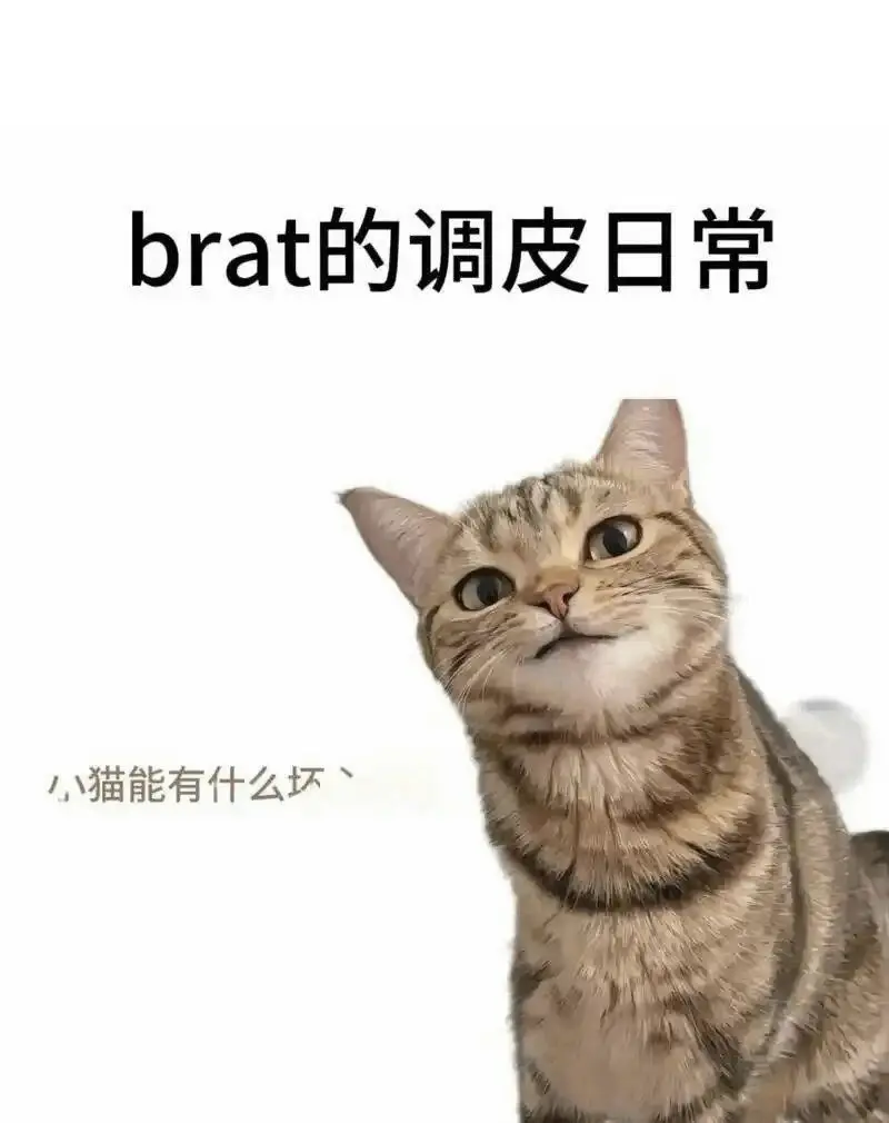 西檬之家-字母圈新人如何理解BDSM中的PE权力交换？
