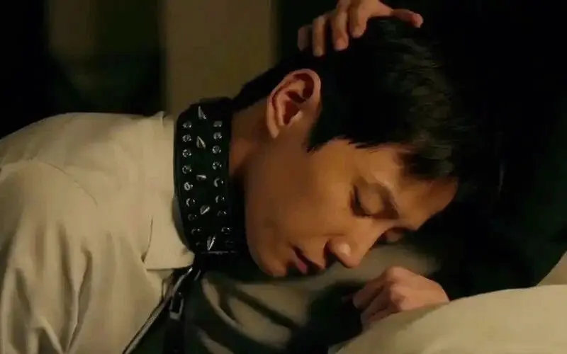 西檬之家-Brat属性是什么？字母圈新人入圈指南