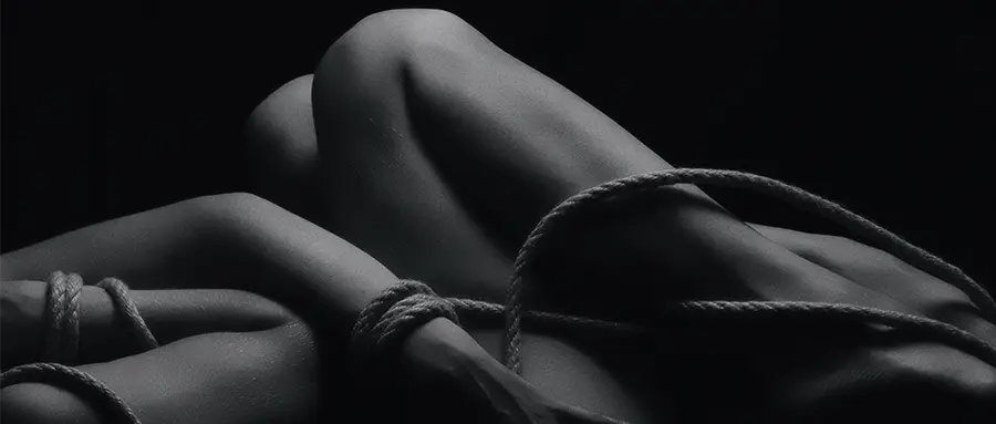 【西檬之家】BDSM字母圈新人入圈指南：从术语到SSC原则