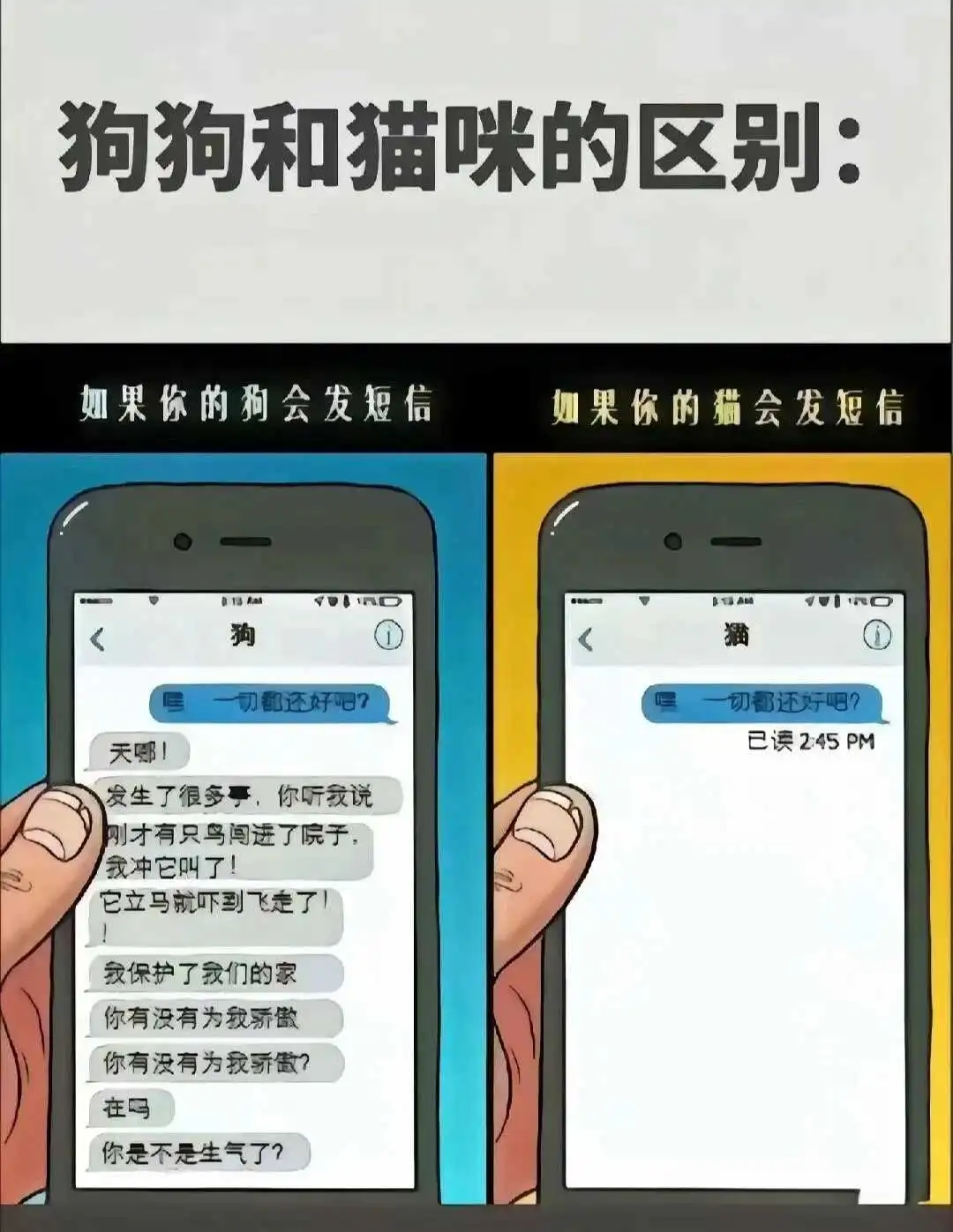 【西檬之家】BDSM新手指南：如何理解核心术语与安全原则