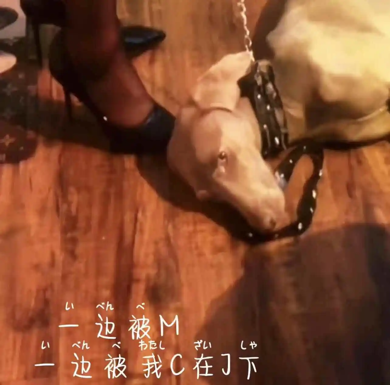 【西檬之家】OTK是什么意思？字母圈跨膝惩戒详解