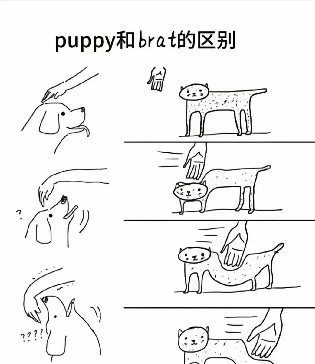 西檬之家-字母圈新人入圈指南：安全、理性、知情同意