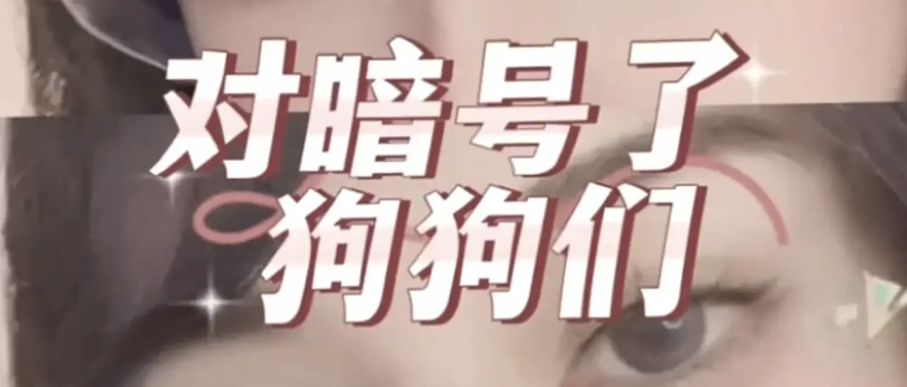 西檬之家-BDSM字母圈新人入圈指南
