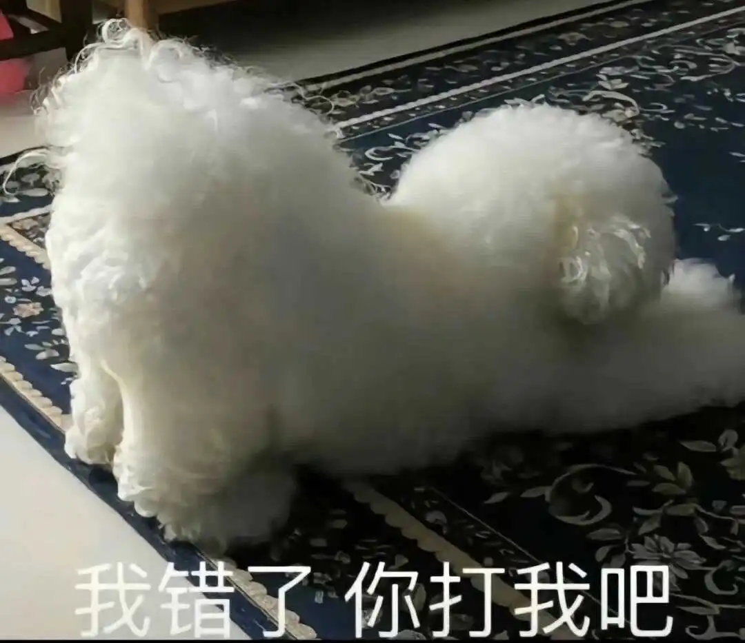 【西檬之家】管教是什么意思？字母圈新人入圈权威指南
