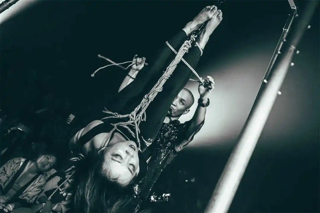 西檬之家-新人入门 | 探索字母圈的 Dom 世界：从定义到实践